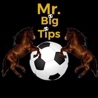 Mr. Big Tips