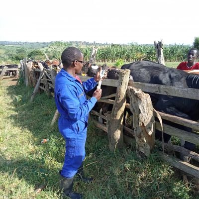 Farmer, Vet
Ask me about Farming. Admin @FarmMagondo
ARSENAL FC|
Animal Health | A friend of Cows