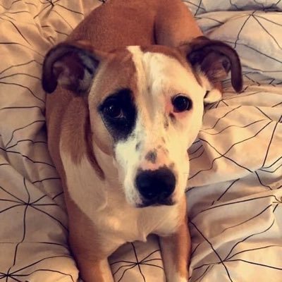 BrynnHartzell's profile picture. 