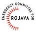 Emergency Committee for Rojava (@defendrojava) Twitter profile photo