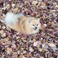 Tracy (@trfleager) 's Twitter Profile