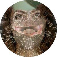 G-Eunuch (@etsy_mom) 's Twitter Profile Photo