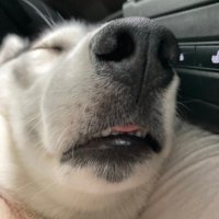 JunizEU (@krxwnzywtf) 's Twitter Profile