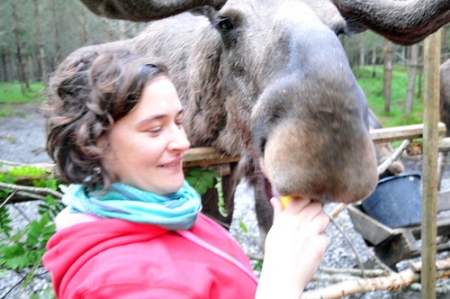 brigi_jaksa's profile picture. 