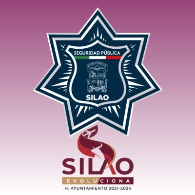 Secretaría de Seguridad Ciudadana Silao