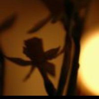 THACHO.ETH (@poem_wfae) 's Twitter Profile Photo THACHO.ETH (@poem_wfae) 's Twitter Profile Photo