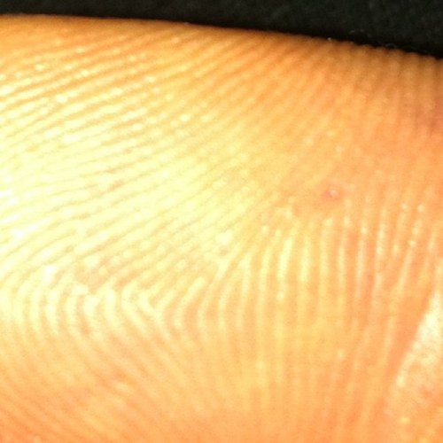 jaypreston72's profile picture. radio guy