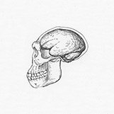 migueljmnez's profile picture. 🗿