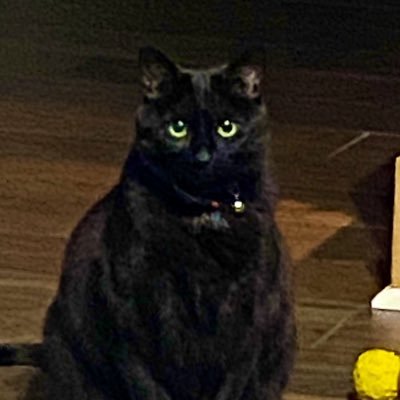 Tannerさんのプロフィール画像