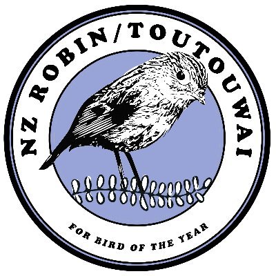 NZ Robin/Toutouwai is one of NZ's cutest and friendliest birds, with an elegant grey & white plumage. Vote NZ robin for BOTY 2021!