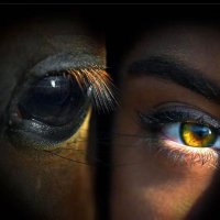 ريم النويصر 🥈 (@reem_alnw) 's Twitter Profile Photo