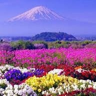 Madonna72677628's profile picture. Honest and truthful 🥰