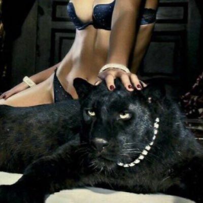 _jujuu8's profile picture. Don Toliver fan page