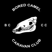 Bored Camel Caravan Club(@BoredCamelCC) 's Twitter Profile Photo