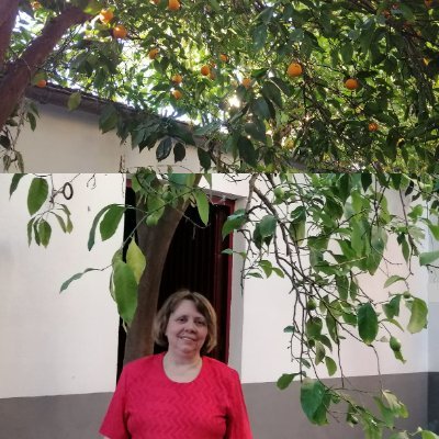 Es habitual que me ocupe el cuento breve. Autora de la novela contemporánea