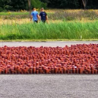 1adriaan2's profile picture. A shrimp fishermen who tries to survive.