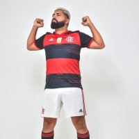 Sósia - Gabigol da Torcida (@gabidatorcida) 's Twitter Profile