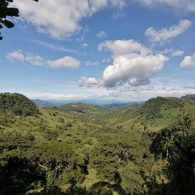 arnulfov1986's profile picture. 🇸🇻