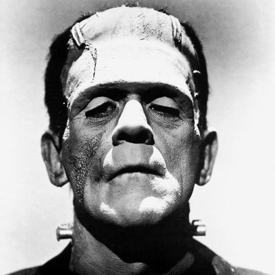 Frankenstein Profile