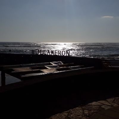 PeraNayib's profile picture. 