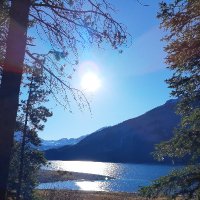 Cathie Crooks (@cathiecrooks) 's Twitter Profile Photo