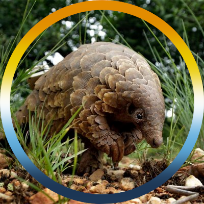 EretThePangolin's profile picture. she/they/he (no preference) 20-24 yrs old aroace Biology and Zoology major