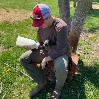 Andrew Baeder Profile