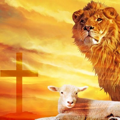 SantoEsEl1's profile picture. Siervo de Dios