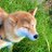 うめちゃんのアイコン
