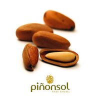 piñones (@pinonsol) 's Twitter Profile