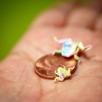 Miniature origami artist • Tiny travel trailer “The Glampette” • Macrobiotic • Gardener • Nature lover • Michiganese