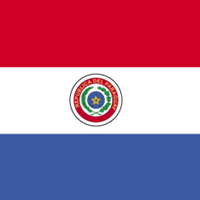 Desde Paraguay(@desdeparaguay) 's Twitter Profile Photo