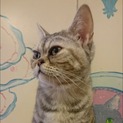 kt10063's profile picture. 