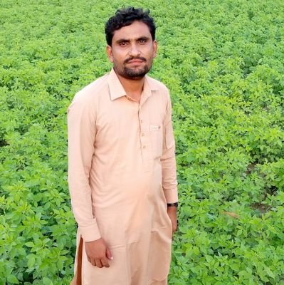 Malkani shareif badin