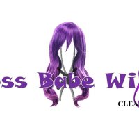 Boss Babe Wig Cleaners LLC(@BabeWig) 's Twitter Profile Photo