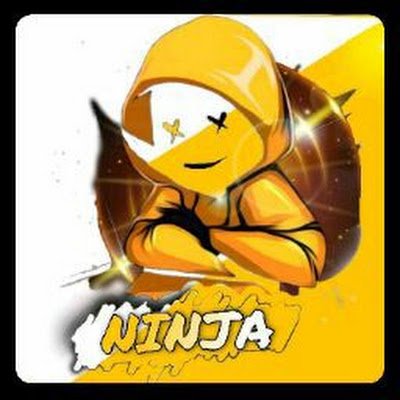 Ninjaarmy19's profile picture. Assam barpeta chirang pin, 783391