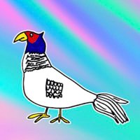 S (@sirr44) 's Twitter Profile