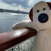 cindy🛶(fo)(@cindy332319712) 's Twitter Profile Photo