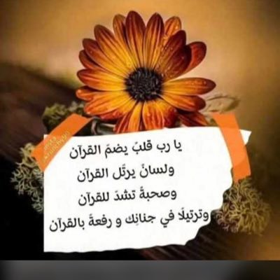 EKdGmpfrYQIogII's profile picture. باحثة دكتوارة ./ بالعلم نسمو /