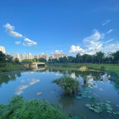 Farmer254812314's profile picture. 邓邓