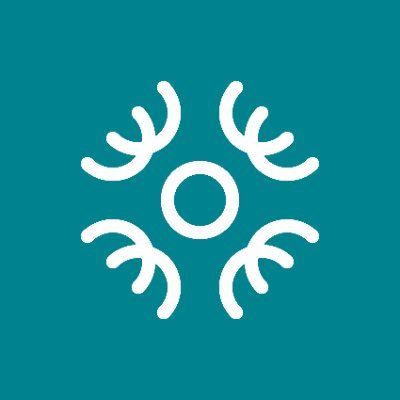 Helsinki Brain & Mind Profile