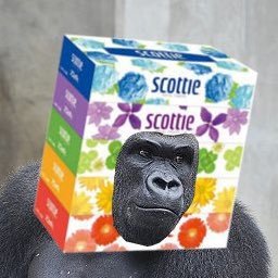 スコッティさんのプロフィール画像