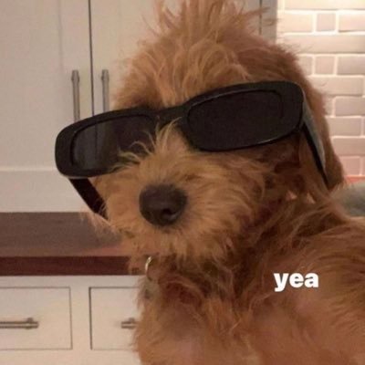 eciila's profile picture. ت ☀︎︎ シ ꕥ