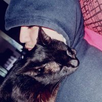 ElMarquito (@elmarquito4) 's Twitter Profile Photo