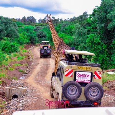 We are Kenya and Africas Leading Tour Company the best in creating affordable and memorable holiday packages around the World