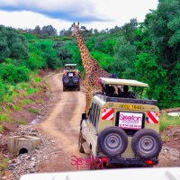 SpotOn Vacations (@spotonvacations) 's Twitter Profile