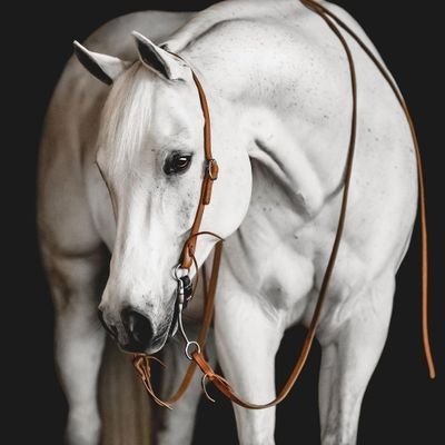 Lai6vvg's profile picture. كن نفسك فقط.. كن ما تريده أنت، لا ما يريده الآخرون لك.. عِنْدَئِذٍ ستشعر براحة كبيرة وبسلام عميق في داخلك.