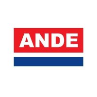 ANDE(@A_N_D_E_) 's Twitter Profile Photo