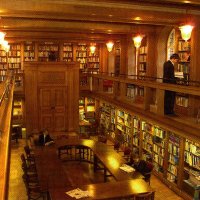 SedberghPhoenix (@sedberghphoenix) 's Twitter Profile