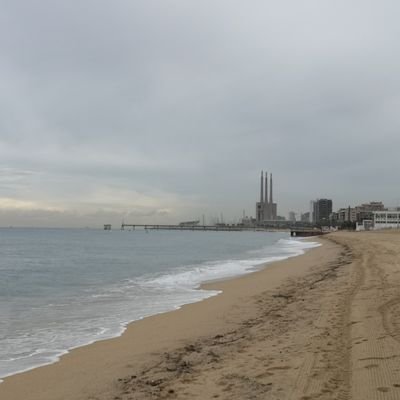 Olgavl84's profile picture. Si la vida te da la espalda, tócale el culo.